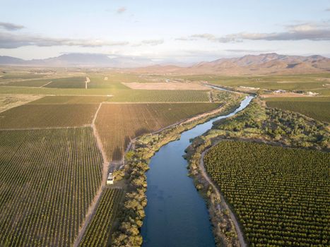 Aerial of big river flowing through vineyards