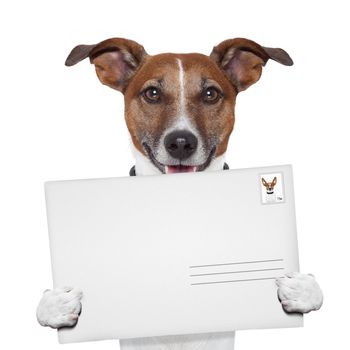 post envelope mail stamp dog with letter