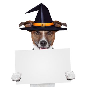 halloween placeholder banner dog