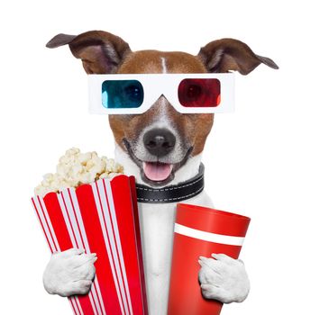 3d glasses movie popcorn dog watching a film