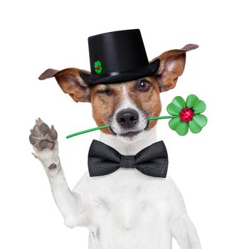 good luck chimney sweeper dog with hat and clover