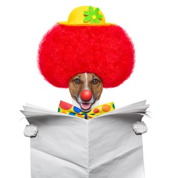 clown dog with red wig and hat reading a newspaper