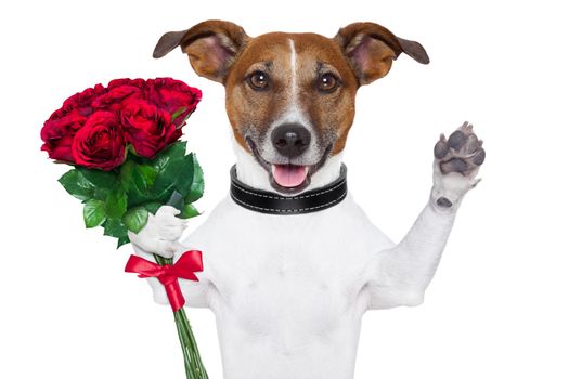 valentine dog  with a bunch of  red  roses waving