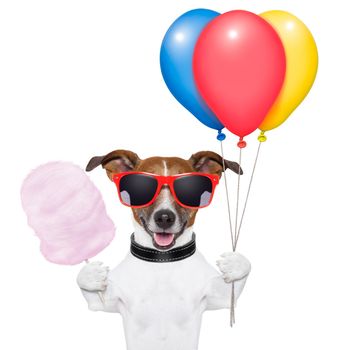 dog  with bunch  of balloons and cotton candy and shades