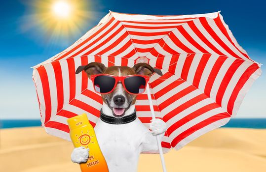 dog at the beach under red and white umbrella with sunscreen