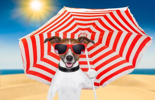dog at the beach under red and white umbrella