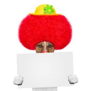 clown dog with red wig and hat holding a banner