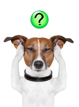dog thinking with a question mark on top