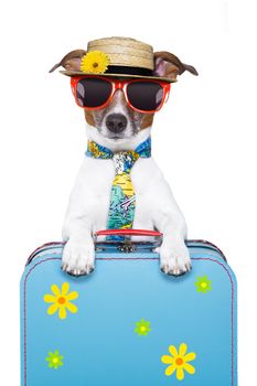 dog on holidays with luggage ,funny tie and hat