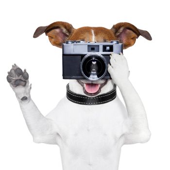 dog taking a photo with an old camera