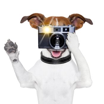 dog taking a photo with an old camera and flashing