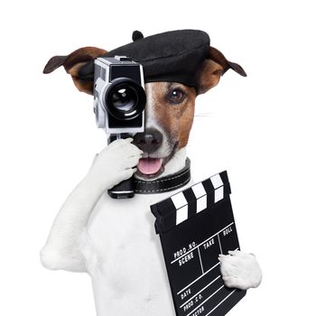 movie director dog with a vintage camera