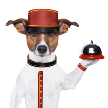bellboy dog holding a bell with red hat