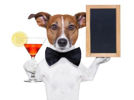 funny dog with a cocktail holding a   blank blackboard