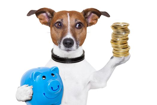 dog holding a  blue piggy bank and a stack of coins