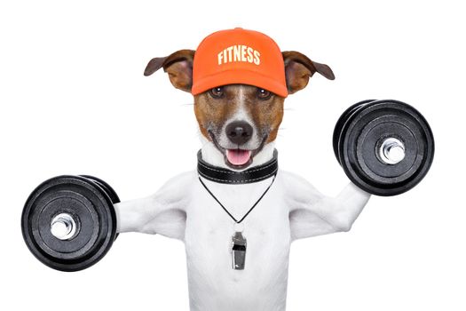personal  trainer dog with dumbbells and a whistle