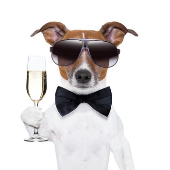 cheers dog with  a glass of champagne