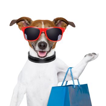 funny  dog with a big blue shopping bag and glasses