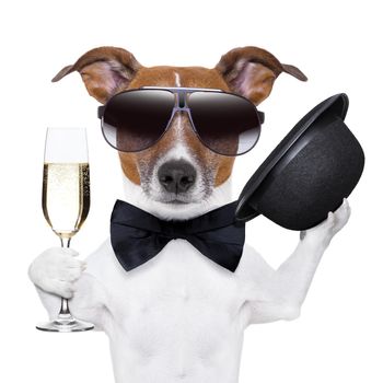 cheers dog with  a glass of champagne and a black hat