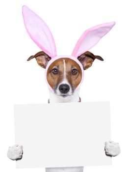 easter dog with  bunny ears holding a placard