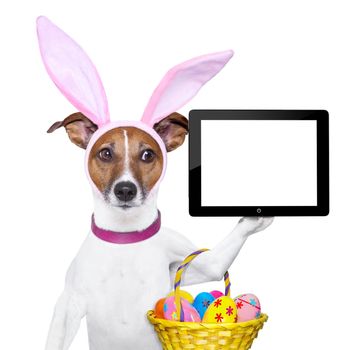 dog dressed up as bunny with easter basket holding a tablet pc