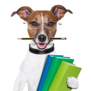 school dog with books and a pencil