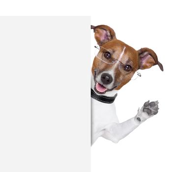 dog  with glasses behind a white banner waving