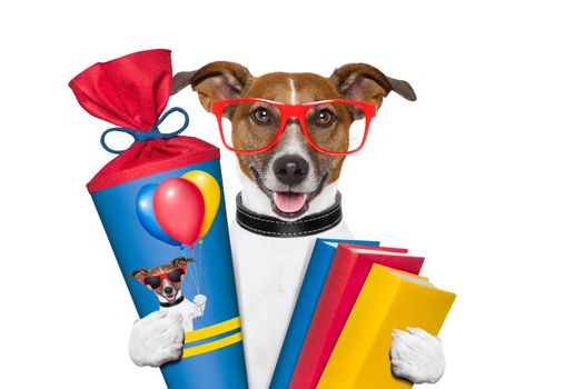 school dog with books and school cone