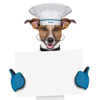a cook dog holding an empty placard
