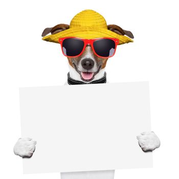 funny summer dog holding a blank banner