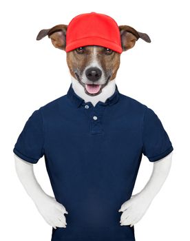 Service dog wearing a blue polo and a red cap