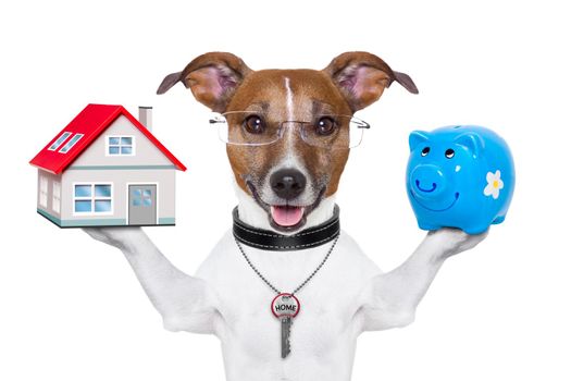dog holding a small house and piggy bank