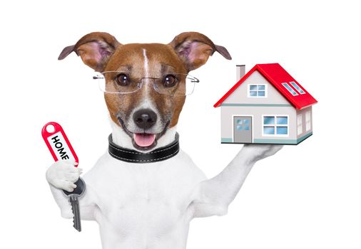 dog holding a small house and a red key