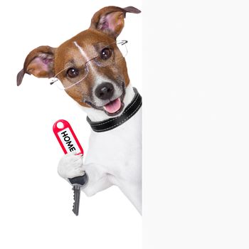 dog behind an empty placard with a home  key