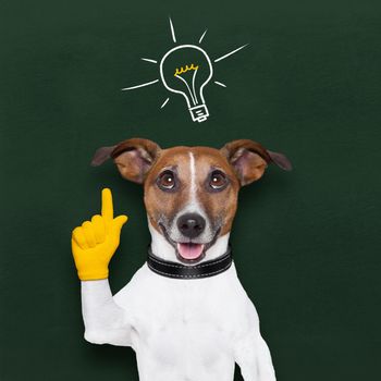 smart and clever dog with a light bulb on blackboard