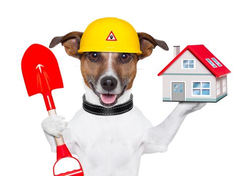 dog holding a small house and a red shovel