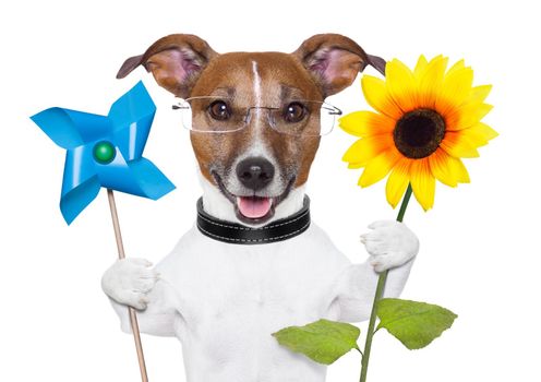 eco green energy dog with windmill and sunflower