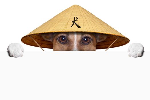 asian dog with chinese hat  behind banner