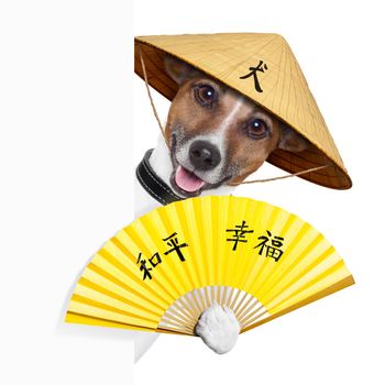 asian dog with hand fan and china hat behind banner