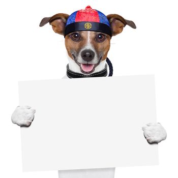 asian dog with chopsticks and asia hat behind banner