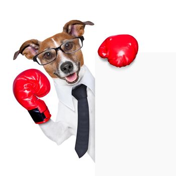 Boxing business dog behind white banner