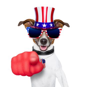 american dog pointing with  big finger at you