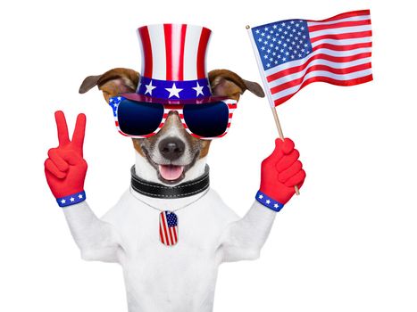 american dog with peace  fingers waving american flag