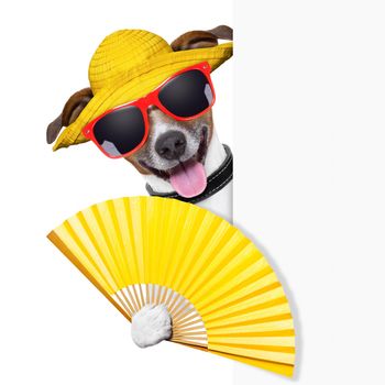 summer cocktail dog cooling of with hand fan behind banner