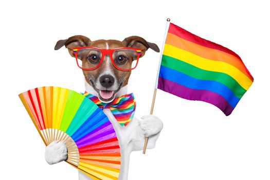 gay pride dog waving a rainbow flag