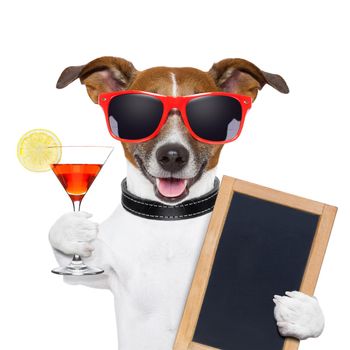 funny cocktail dog holding a martini glass
