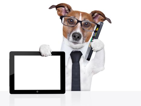 business dog with a tie , glasses ,tablet pc and smartphone