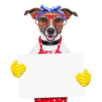 housewife dog  holding a blank white placard