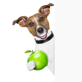 healthy dog with a big smile and a green apple behind banner