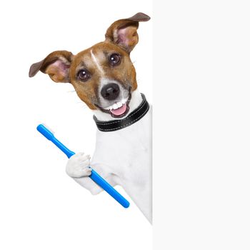 dog with big white teeth with  a toothbrush behind banner placard